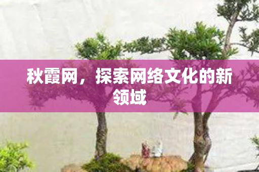 探索网络文化的新领域图片
