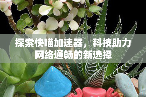 科技助力网络通畅的新选择图片