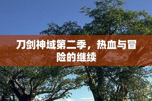 热血与冒险的继续图片