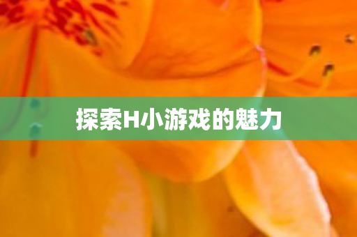 探索H小游戏的魅力图片