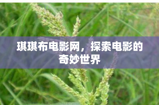 探索电影的奇妙世界图片