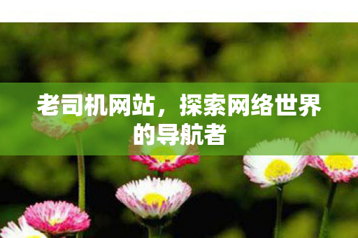 探索网络世界的导航者图片