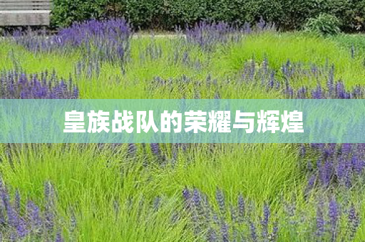 皇族战队的荣耀与辉煌图片