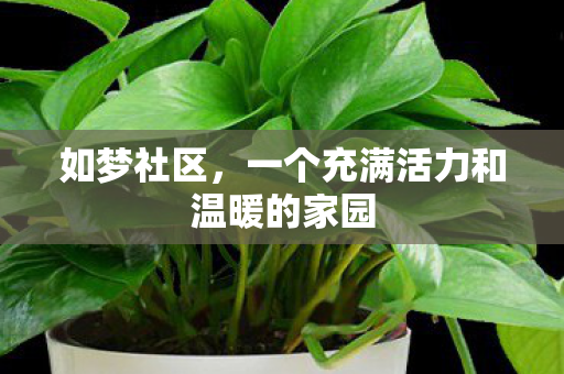 一个充满活力和温暖的家园图片