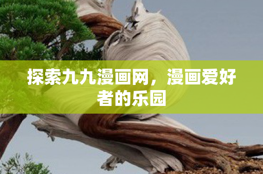 漫画爱好者的乐园图片