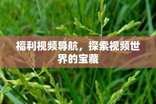 探索视频世界的宝藏图片
