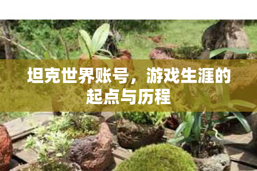 游戏生涯的起点与历程图片