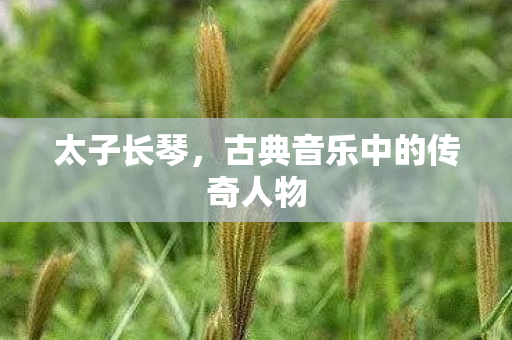 古典音乐中的传奇人物图片