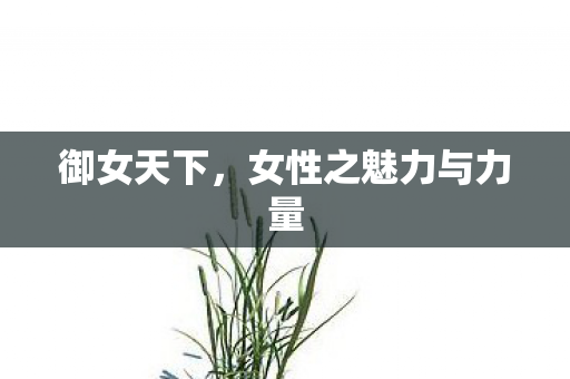 女性之魅力与力量图片