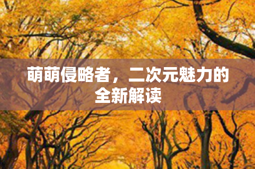 二次元魅力的全新解读图片