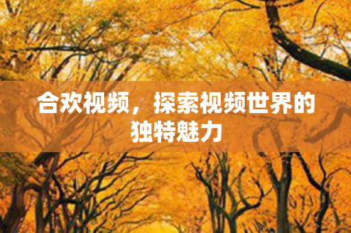 探索视频世界的独特魅力图片