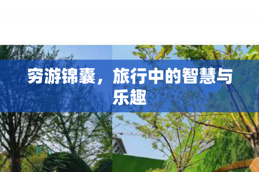 旅行中的智慧与乐趣图片