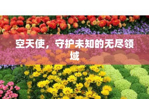 守护未知的无尽领域图片