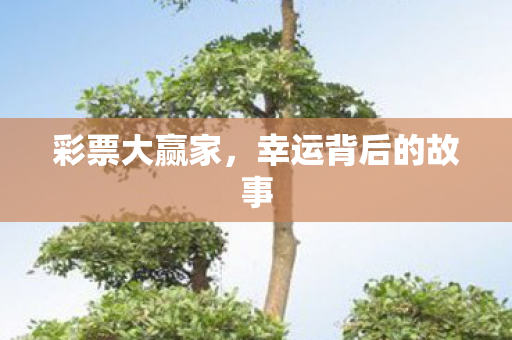 幸运背后的故事图片