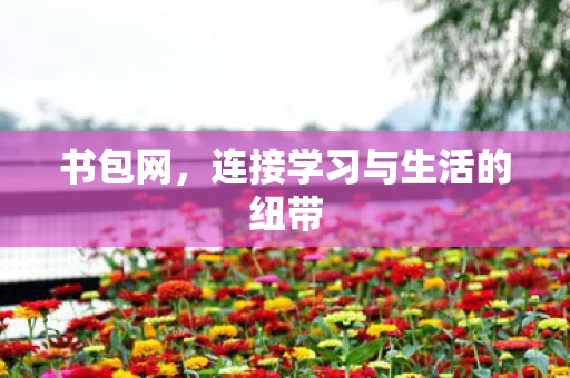 连接学习与生活的纽带图片