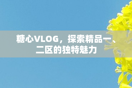 二区的独特魅力图片