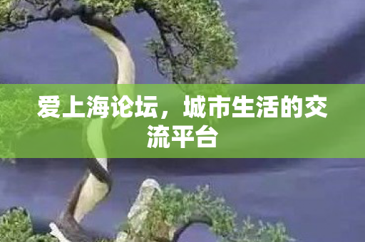 城市生活的交流平台图片