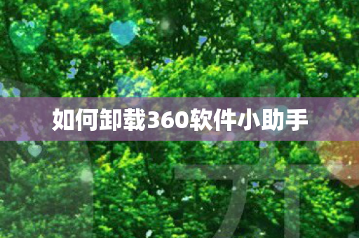 如何卸载360软件小助手图片