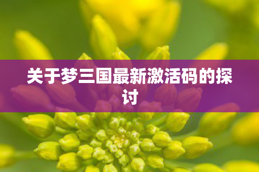 关于梦三国最新激活码的探讨图片
