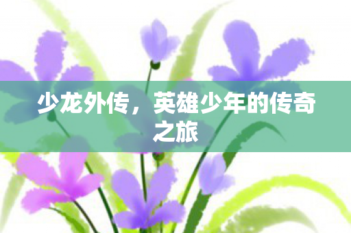 英雄少年的传奇之旅图片