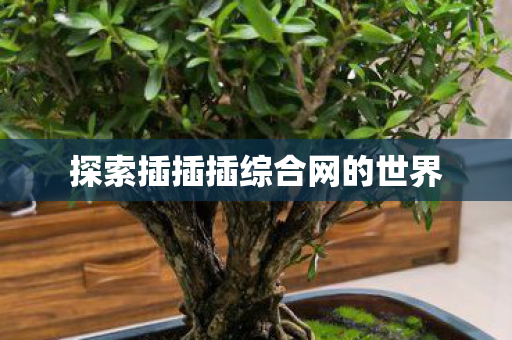 探索插插插综合网的世界图片