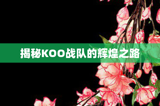 揭秘KOO战队的辉煌之路图片