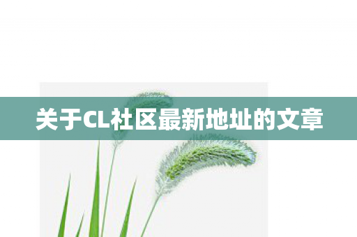 关于CL社区最新地址的文章图片