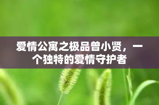 爱情公寓之极品曾小贤图片