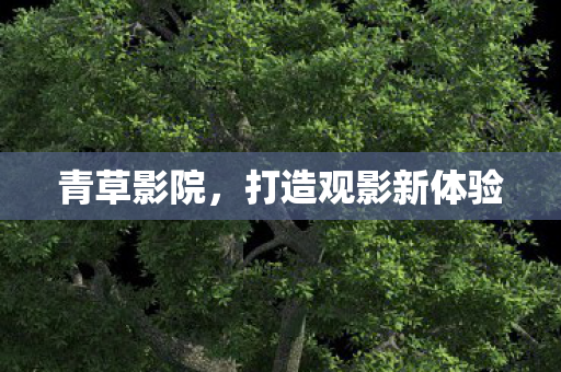 打造观影新体验图片