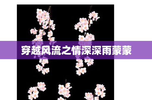 穿越风流之情深深雨蒙蒙图片