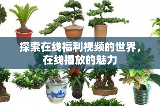 探索在线福利视频的世界图片
