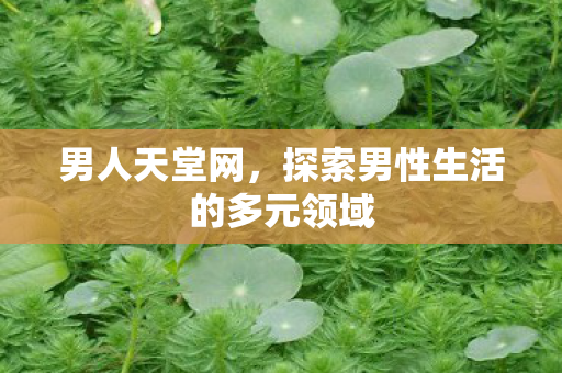 探索男性生活的多元领域图片