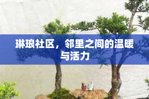 邻里之间的温暖与活力图片