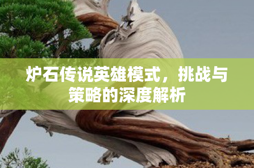 挑战与策略的深度解析图片