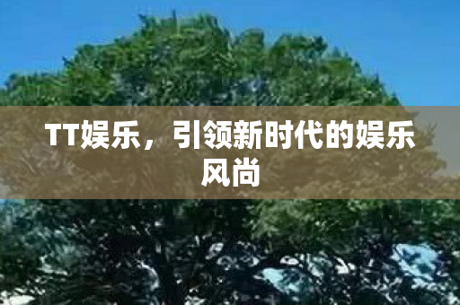 引领新时代的娱乐风尚图片