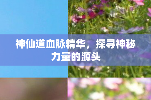 探寻神秘力量的源头图片