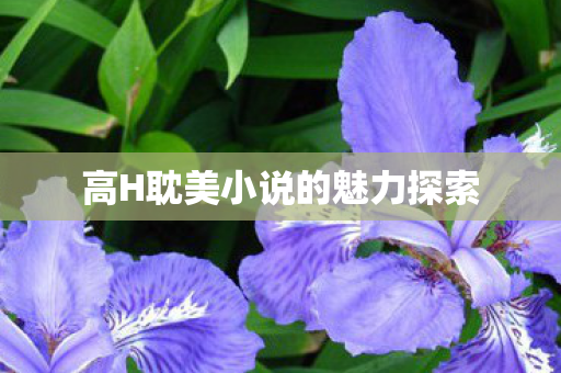 高H耽美小说的魅力探索图片