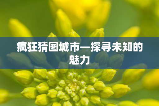 探寻未知的魅力图片