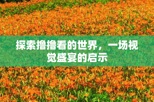 一场视觉盛宴的启示图片