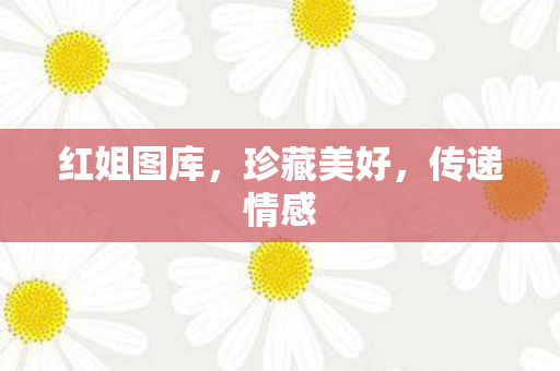 红姐图库图片
