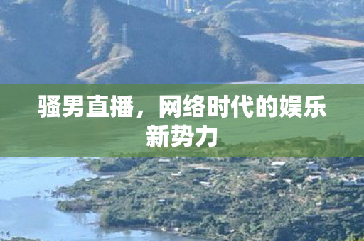网络时代的娱乐新势力图片