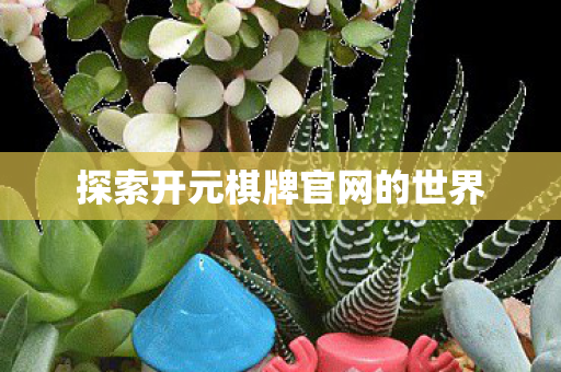 探索开元棋牌官网的世界图片