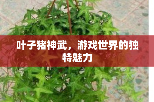 游戏世界的独特魅力图片