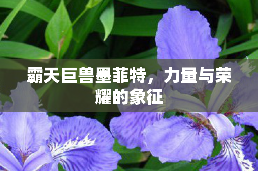 力量与荣耀的象征图片