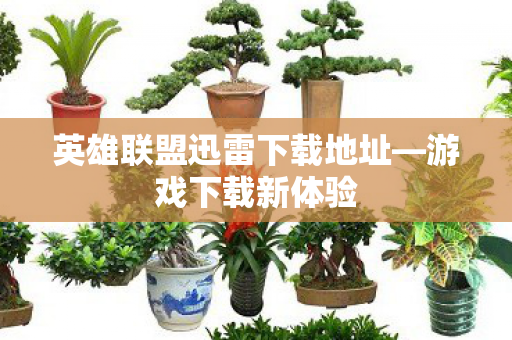 英雄联盟迅雷下载地址图片