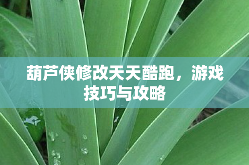 葫芦侠修改天天酷跑图片