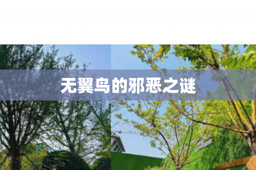 无翼鸟的邪恶之谜图片