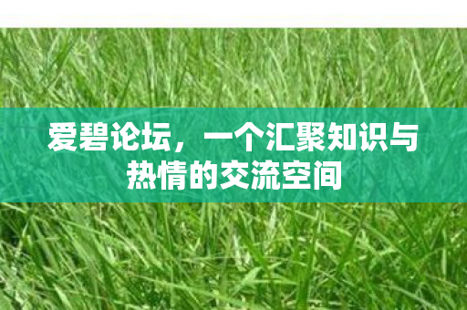 一个汇聚知识与热情的交流空间图片