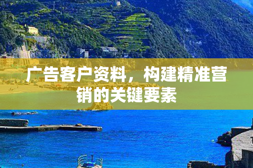 构建精准营销的关键要素图片