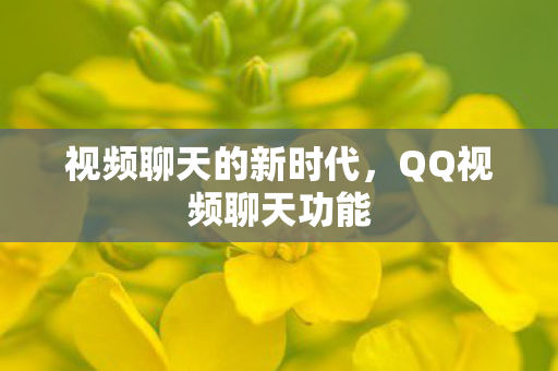 视频聊天的新时代图片